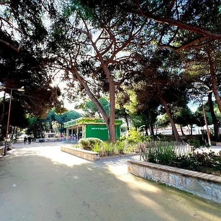 Les Pins Pinede Sector - *